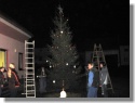 Vánoční strom 2013